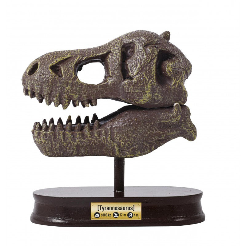 Kit De Sapat - Craniu T-Rex - Joc sapa si descopera dinozauri - set excavare