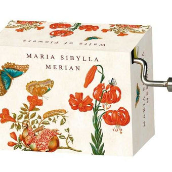 Flasneta Maria Sibylla Merian (Fluturi), Tchaikovsky Walts Of Flowers