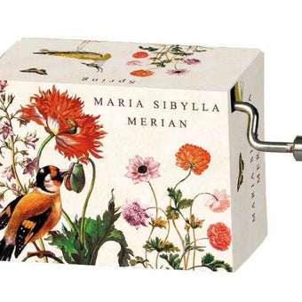 Flasneta Maria Sibylla Merian (Pasari), Vivaldi Spring