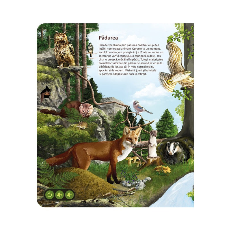 Carte interactiva RASPUNDEL ISTETEL - Lumea animalelor