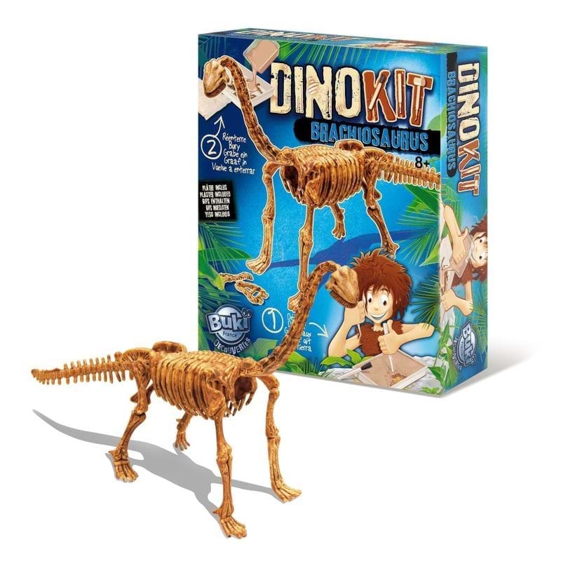 Paleontologie - Dino Kit - Brachiosaurus