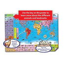 Puzzle Si Poster Harta Lumii (Limba Engleza 150 Piese) World Map Puzzle & Poster