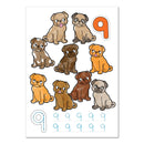 Carte De Colorat Cu Activitati In Limba Engleza Si Abtibilduri 1 - 20