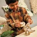 Joc Educativ Descoperirea Dinozaurilor Dinosaur Dig