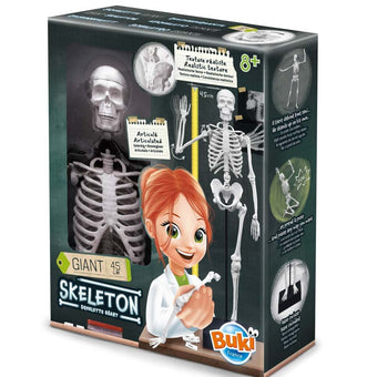 Schelet Gigant 45 Cm