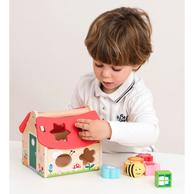 Casuta Shape Sorter Cu Forme