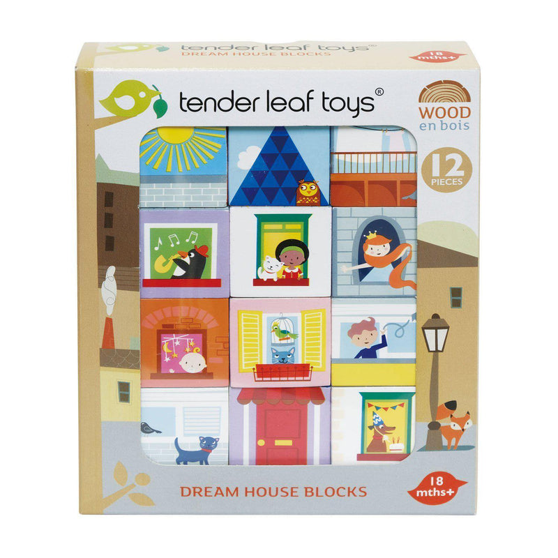 Cuburi Casa visurilor - Tender Leaf Toys
