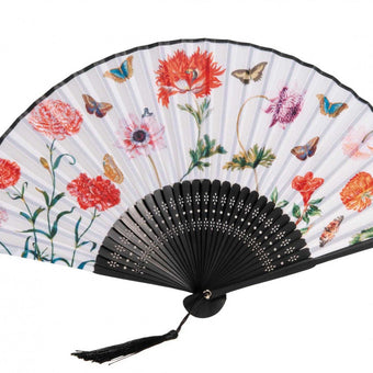 Evantai Fridolin, M. Sibylla, Merian