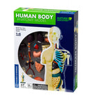 Kit Stem Anatomia Corpului Uman