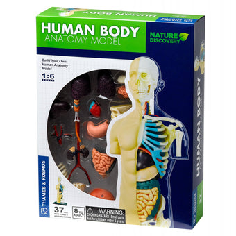 Kit Stem Anatomia Corpului Uman
