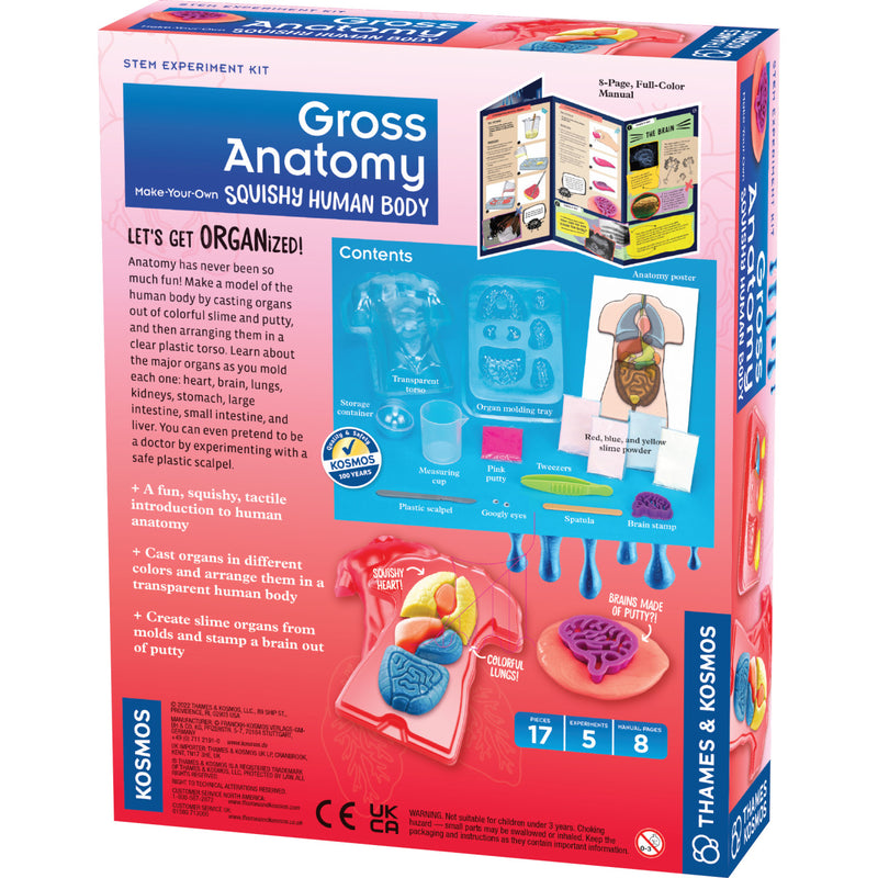 Kit Stem Organele Corpului Uman