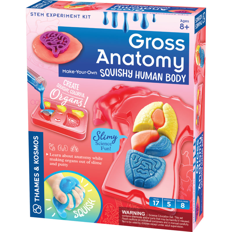Kit Stem Organele Corpului Uman