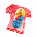 Kit Stem Organele Corpului Uman