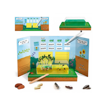 Joc Headu Montessori - Jurnalul Stiintei