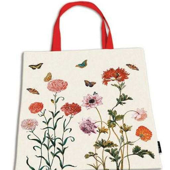 Sacosa Maria Sibylla Merian